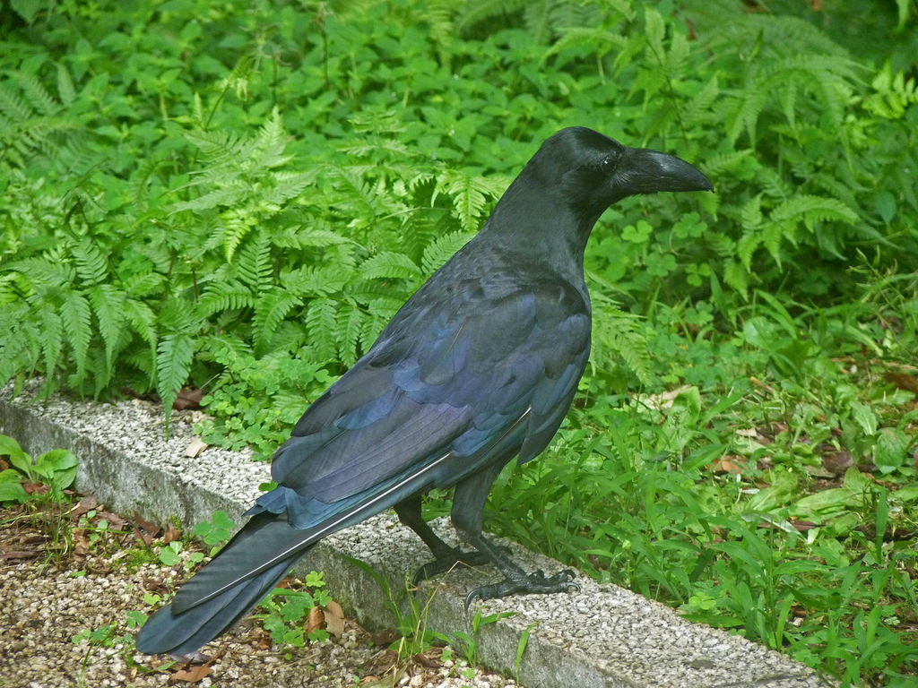 600