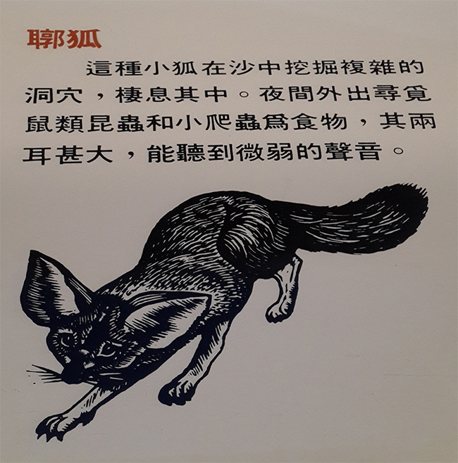 （台湾自然科学博物馆科普展板 图片：郑钰）