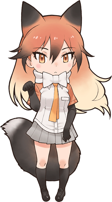哺乳纲:赤狐.png