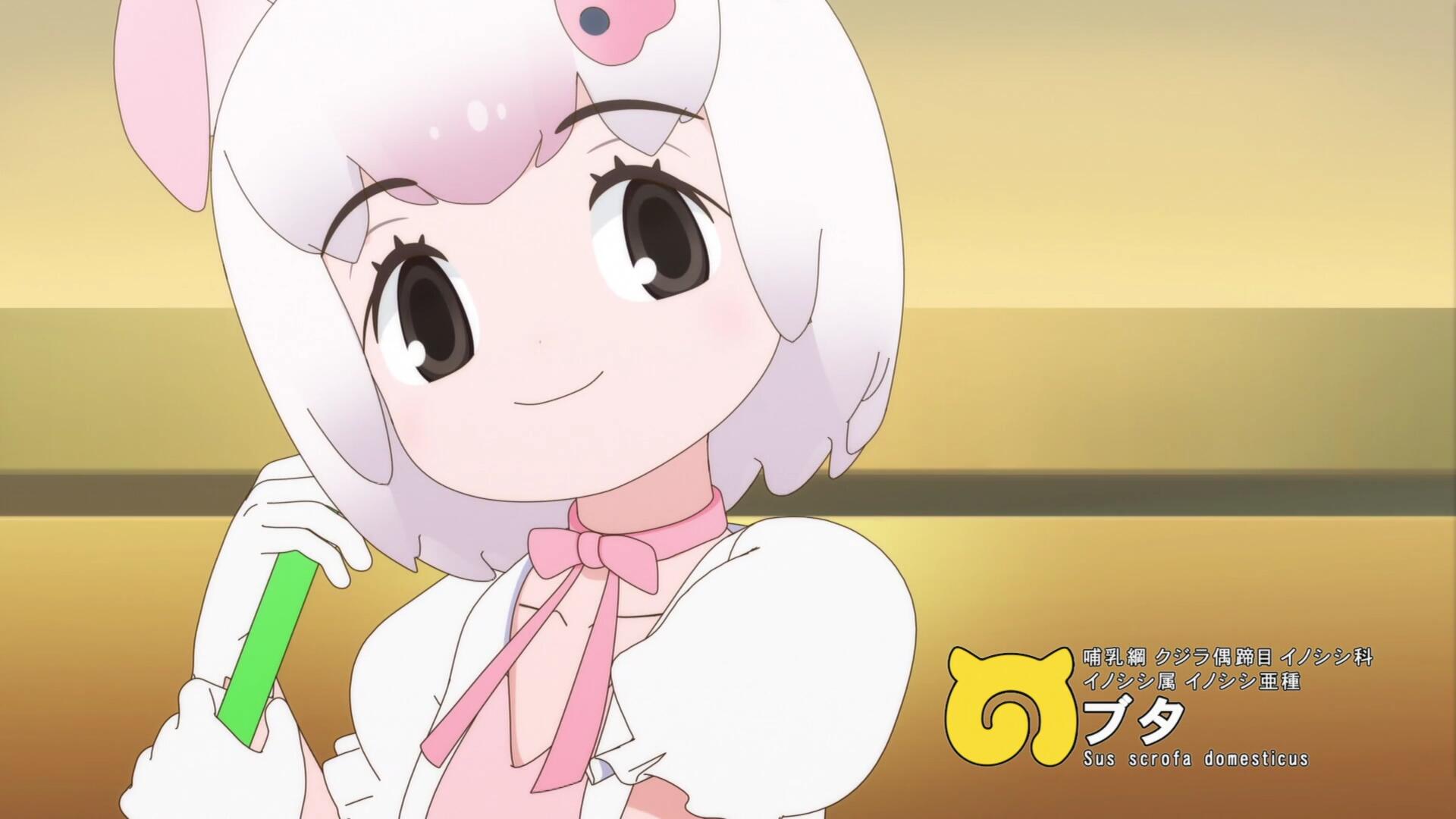 二期家猪.jpg