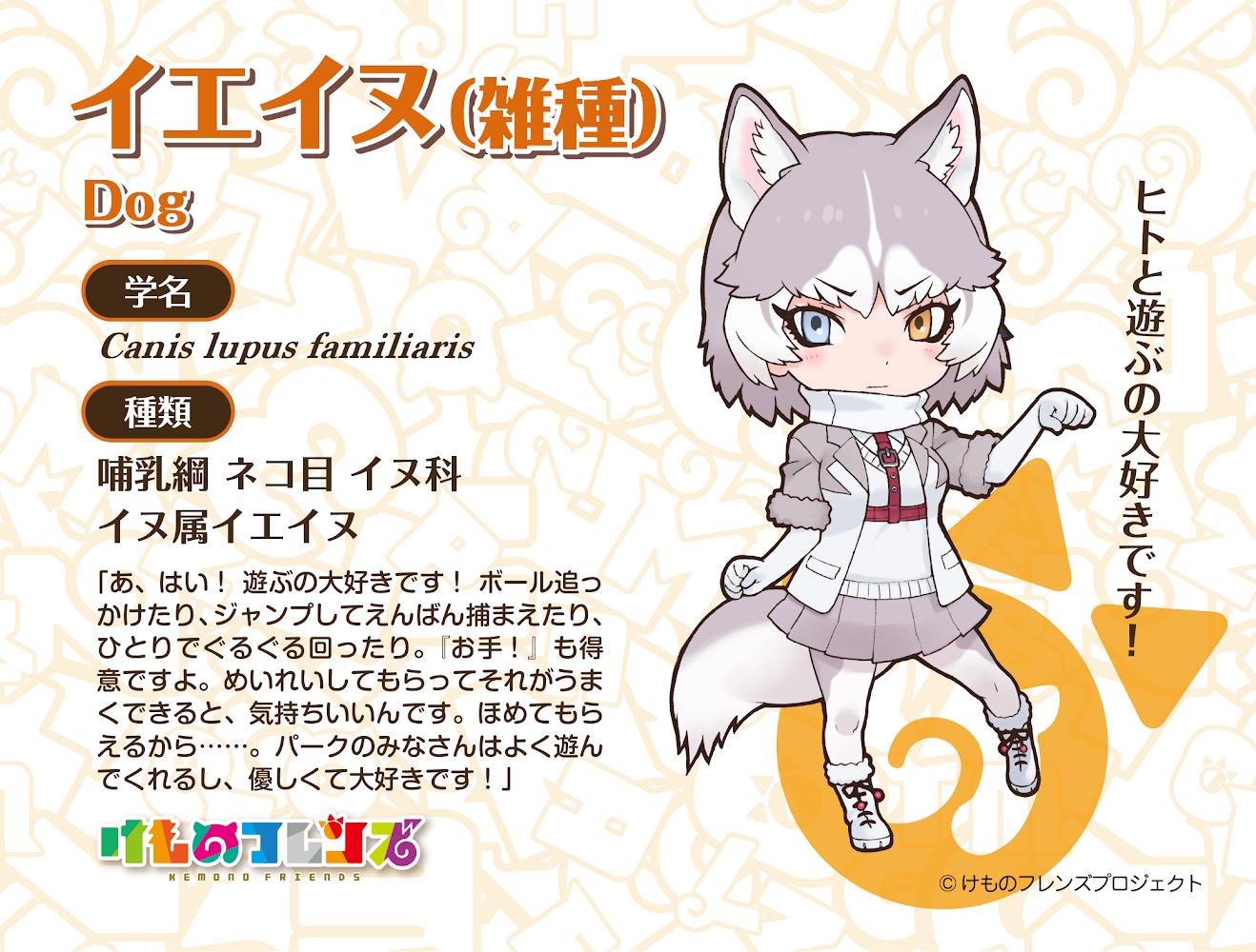 31家犬_混血种_.jpg
