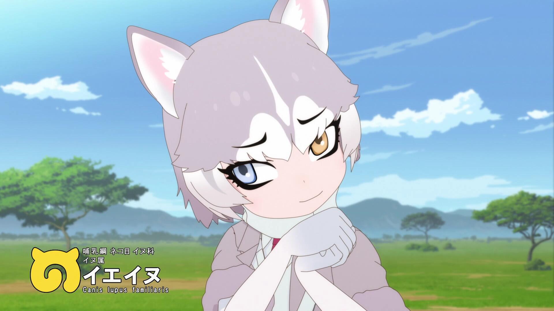 二期家犬_混血_.jpg