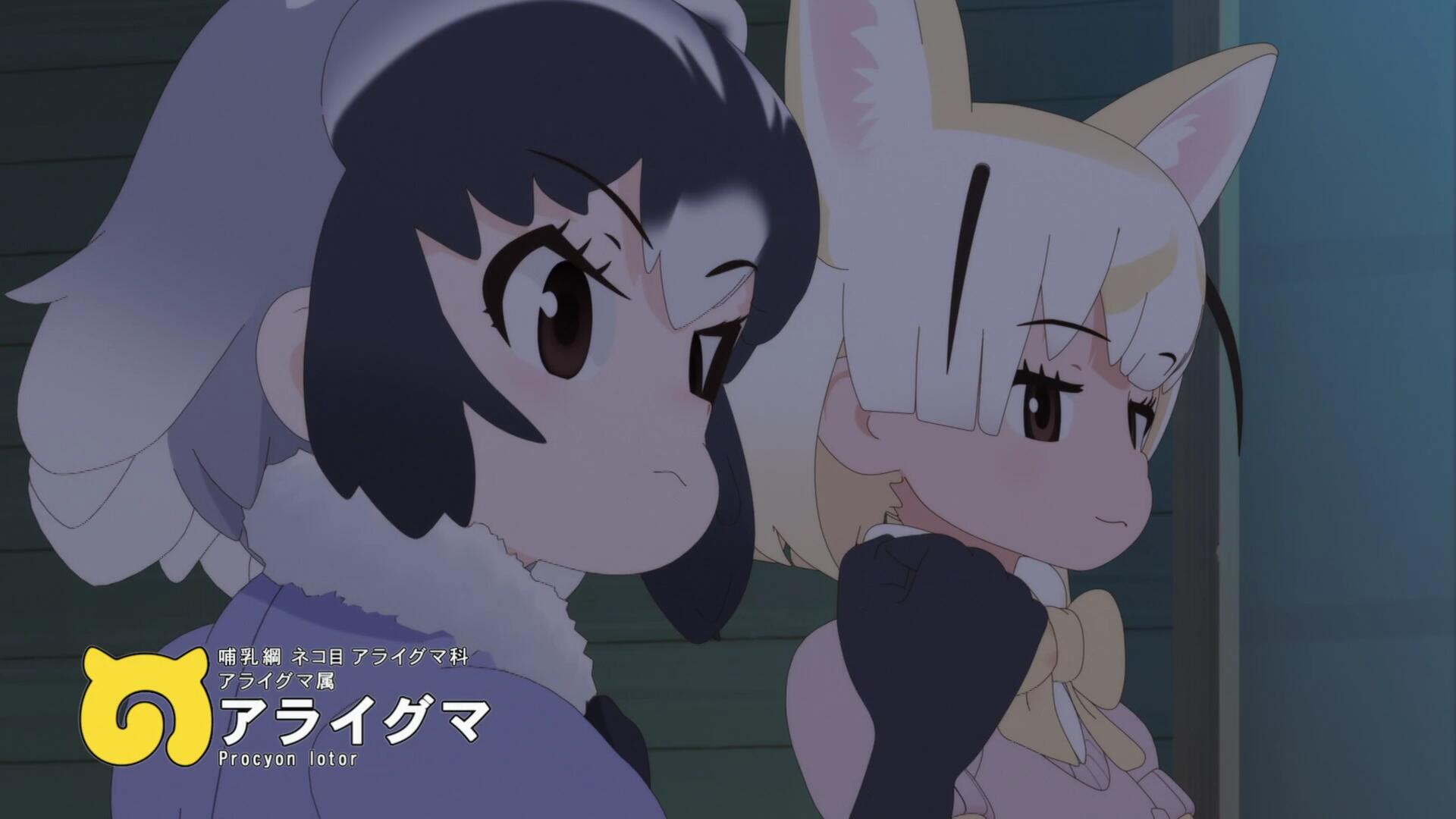 二期浣熊.jpg