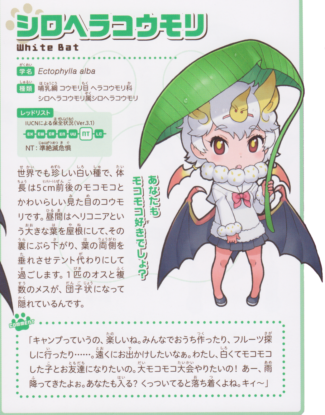 シロヘラコウモリ.png