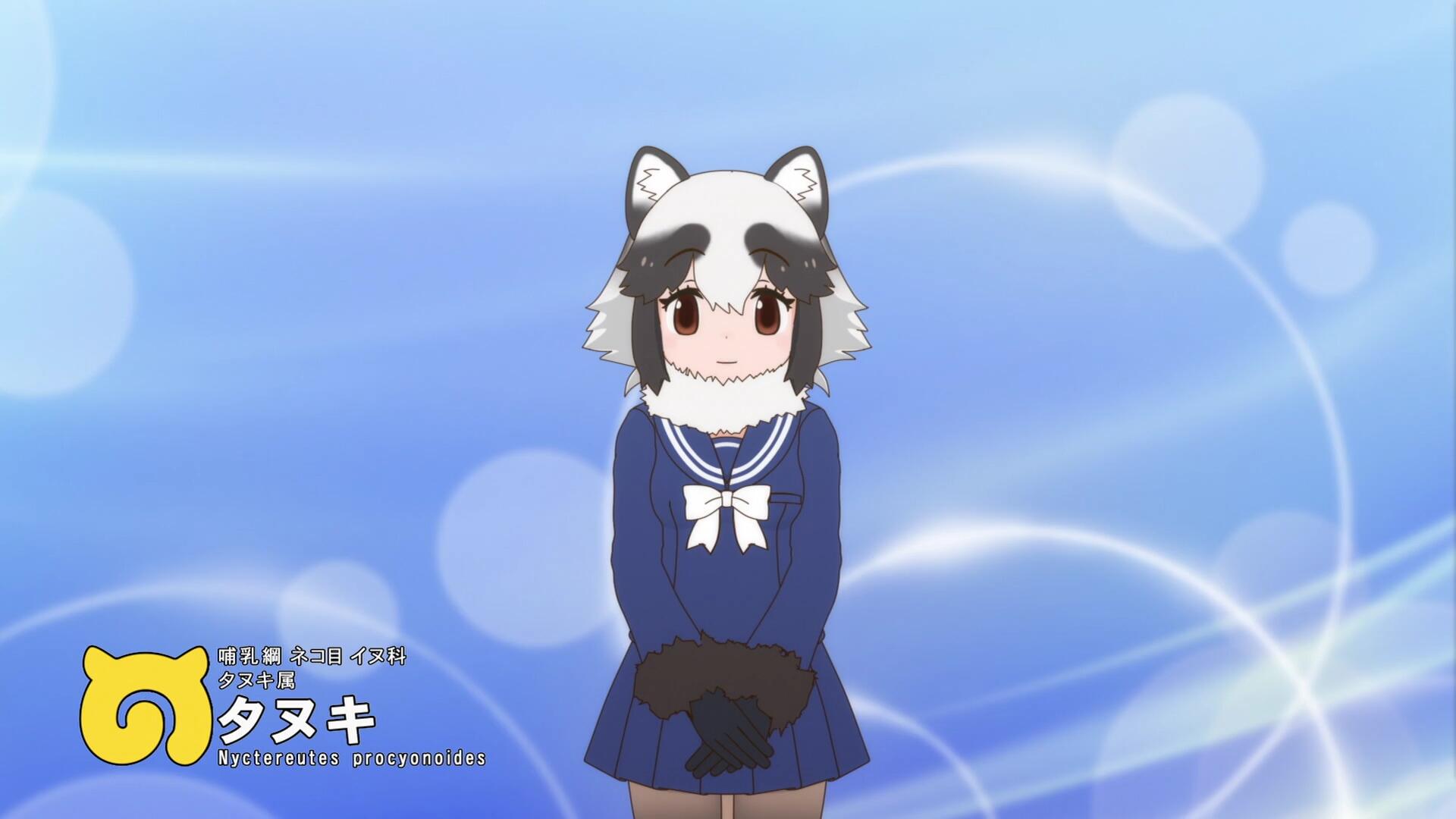 二期貉.jpg