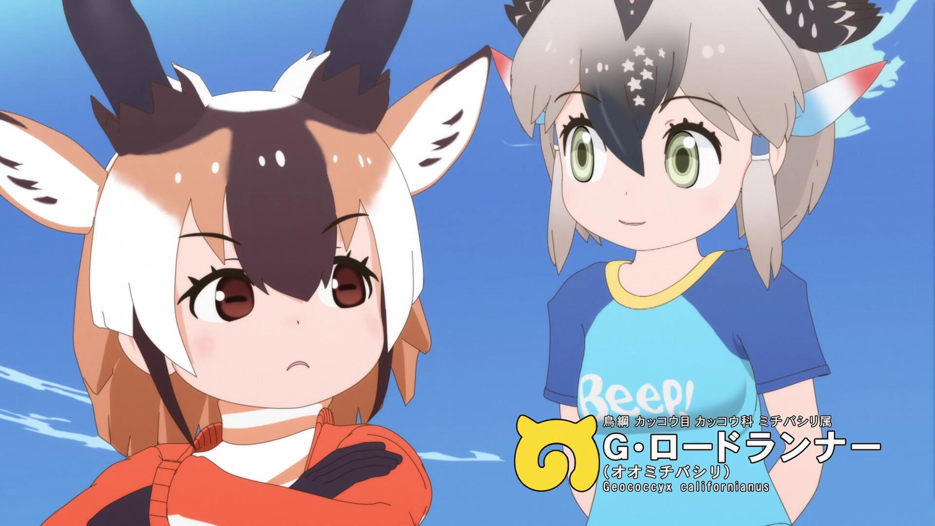 二期加州走鹃.jpg