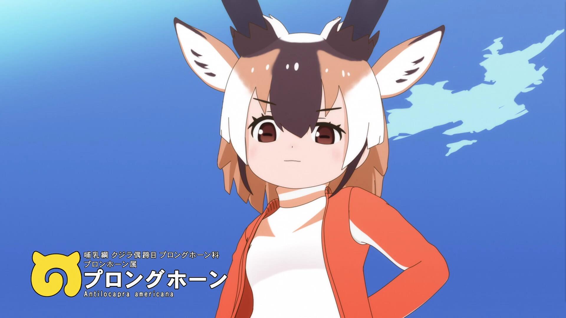 二期叉角羚.jpg