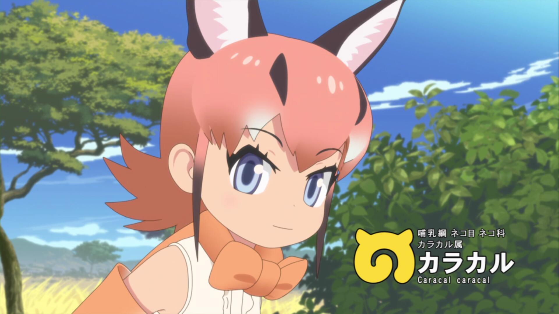 二期狞猫.jpg