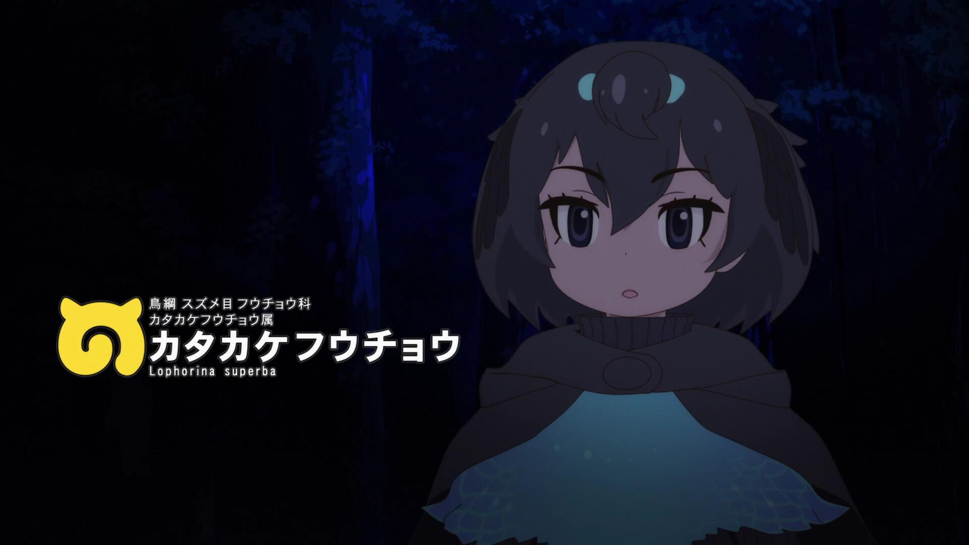 二期华美风鸟.jpg