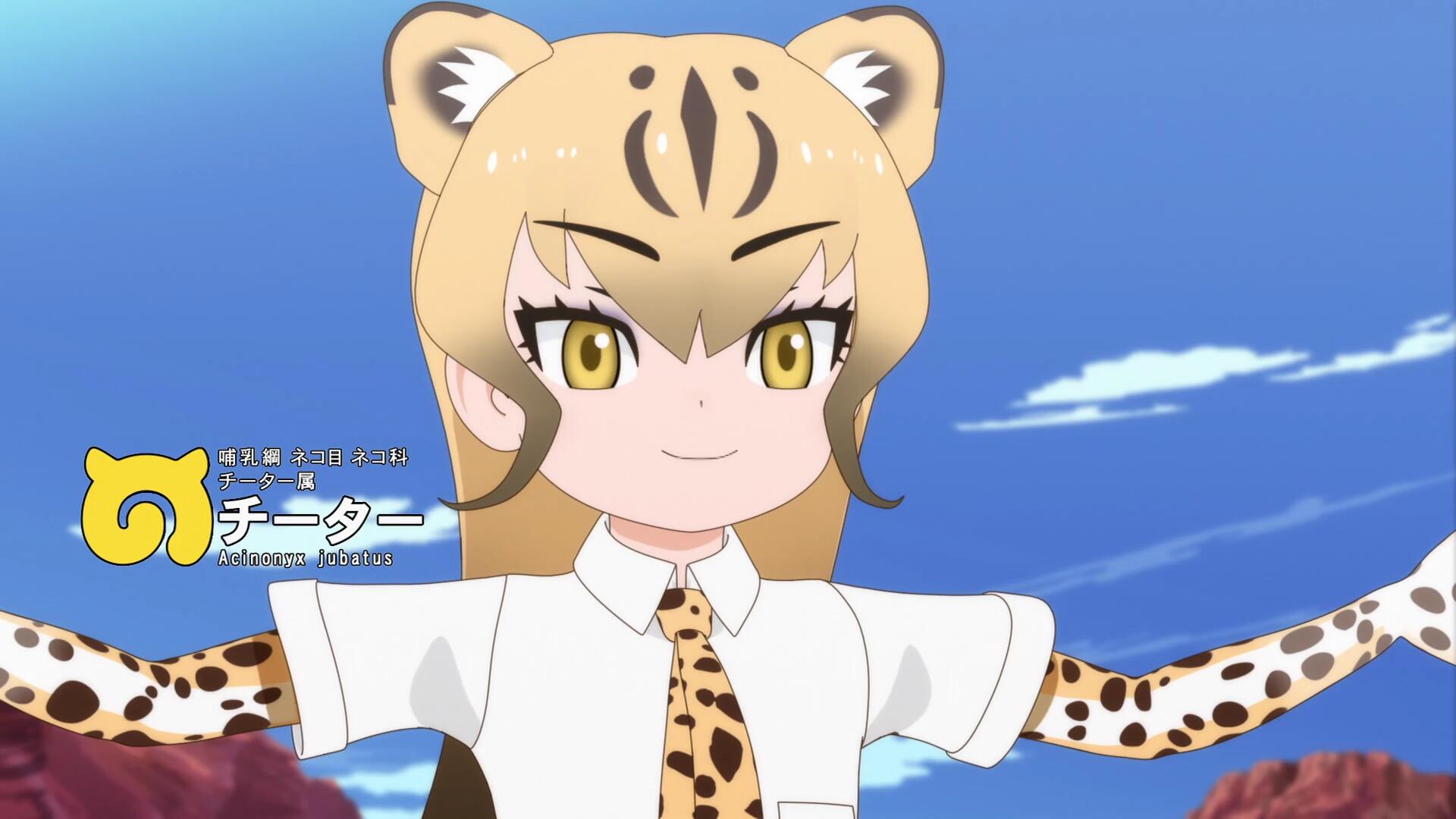 二期猎豹.jpg