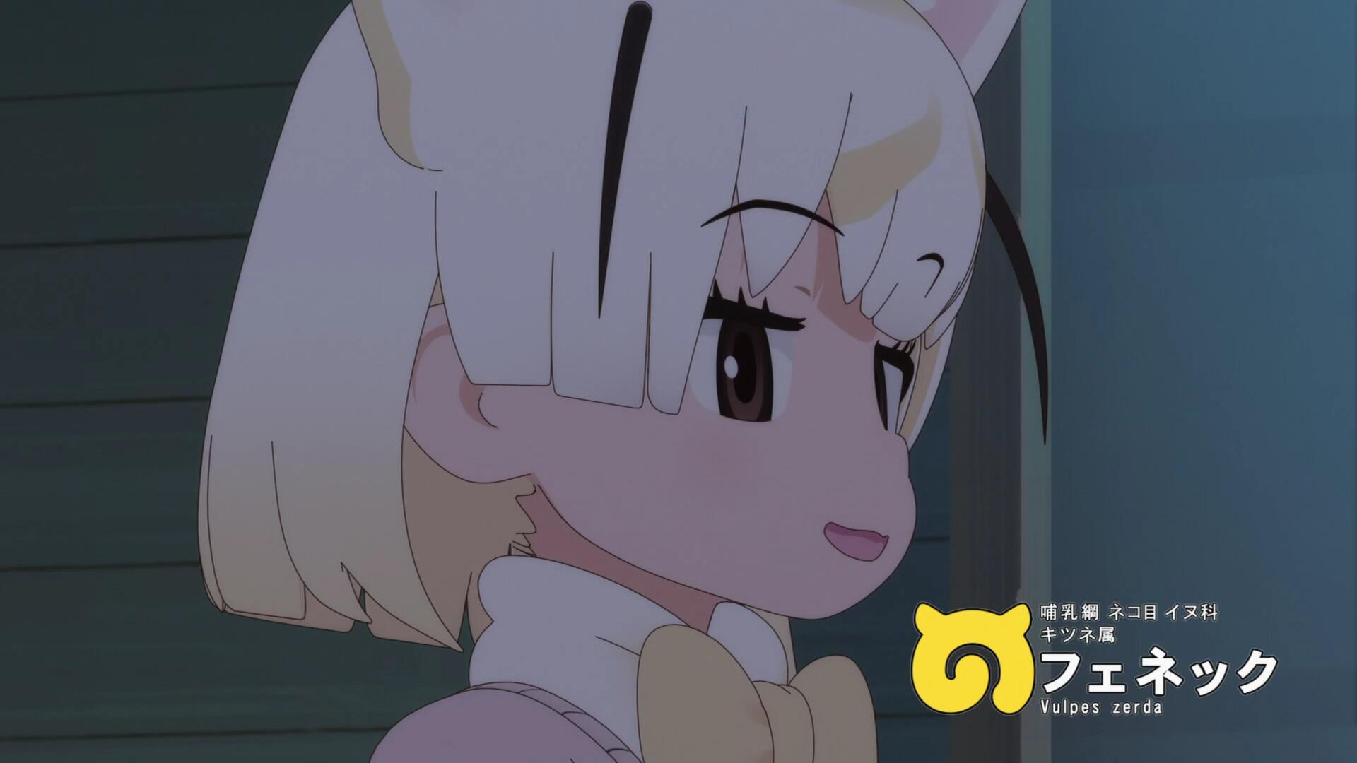 二期耳廓狐.jpg
