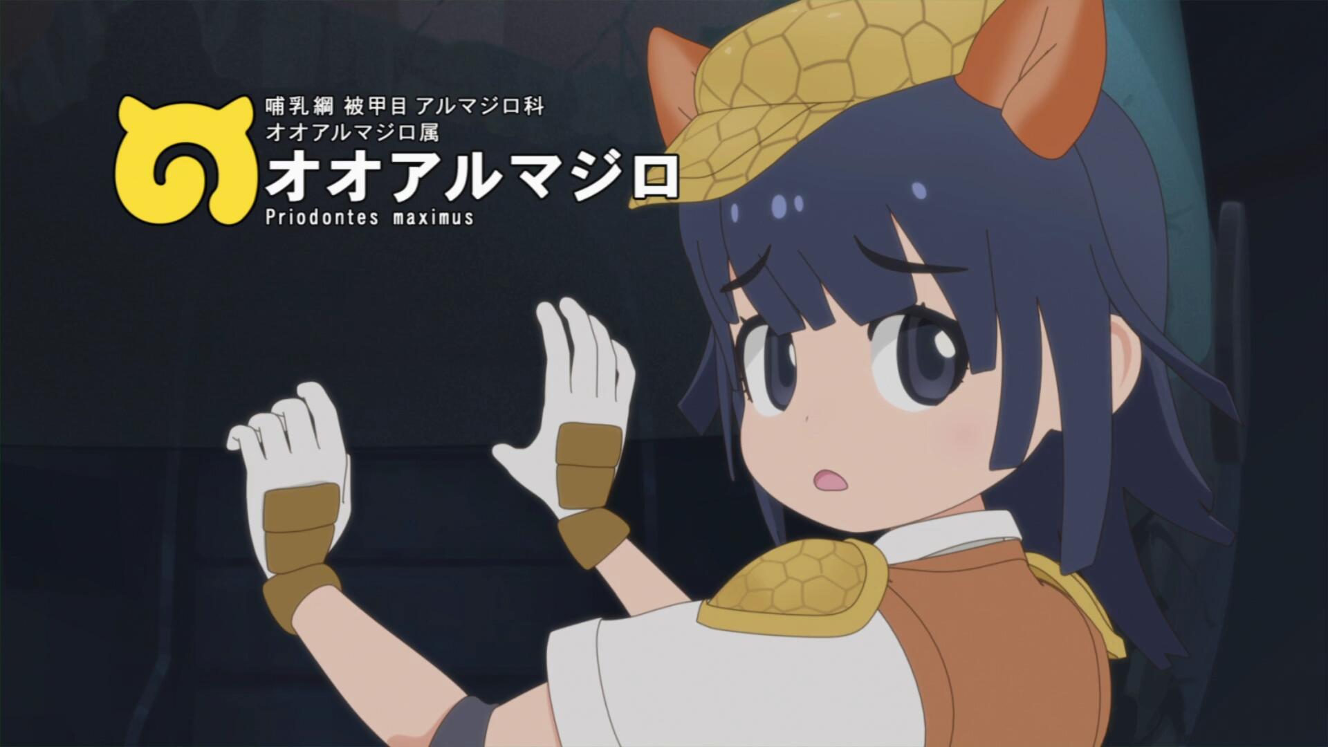 二期大犰狳.jpg