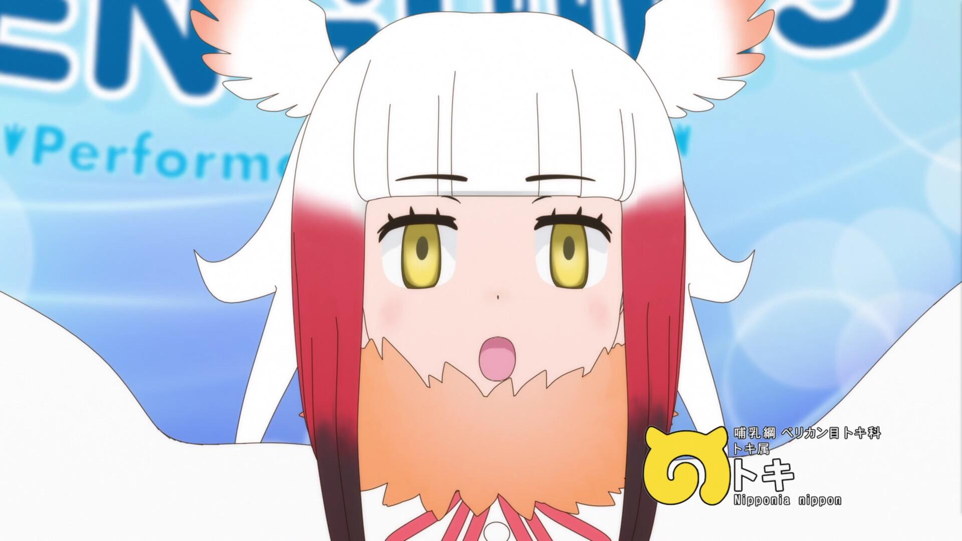 二期朱鹮.jpg