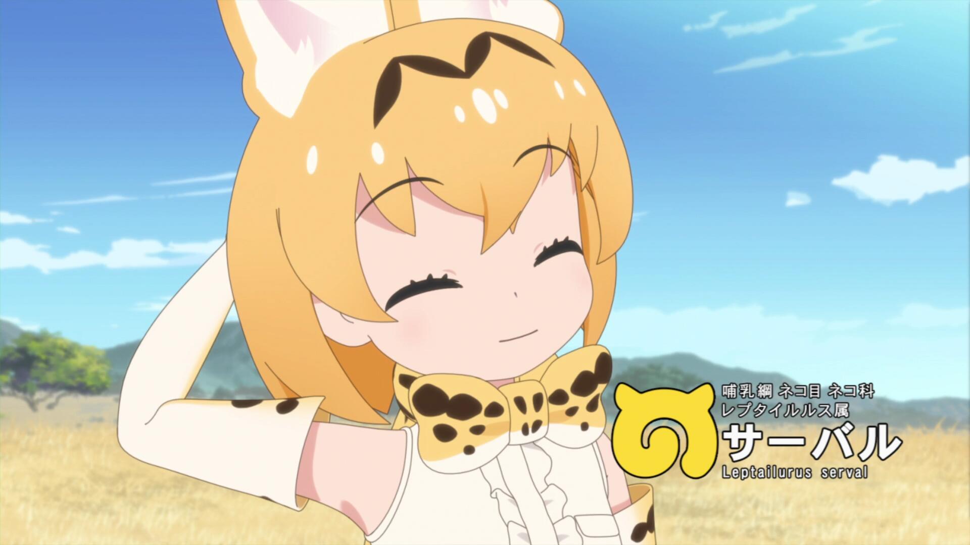 二期薮猫.jpg