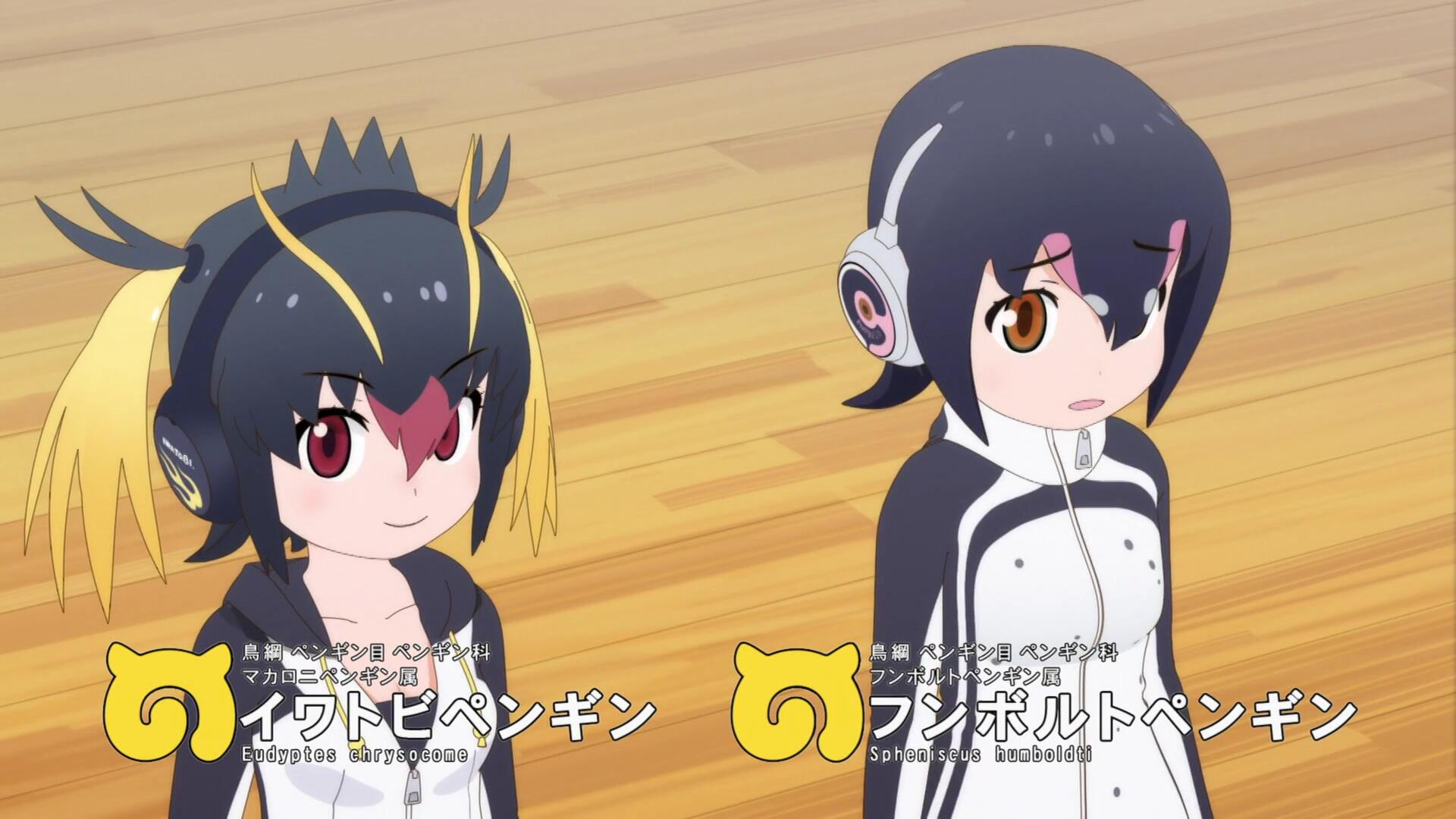 二期洪堡企鹅.jpg