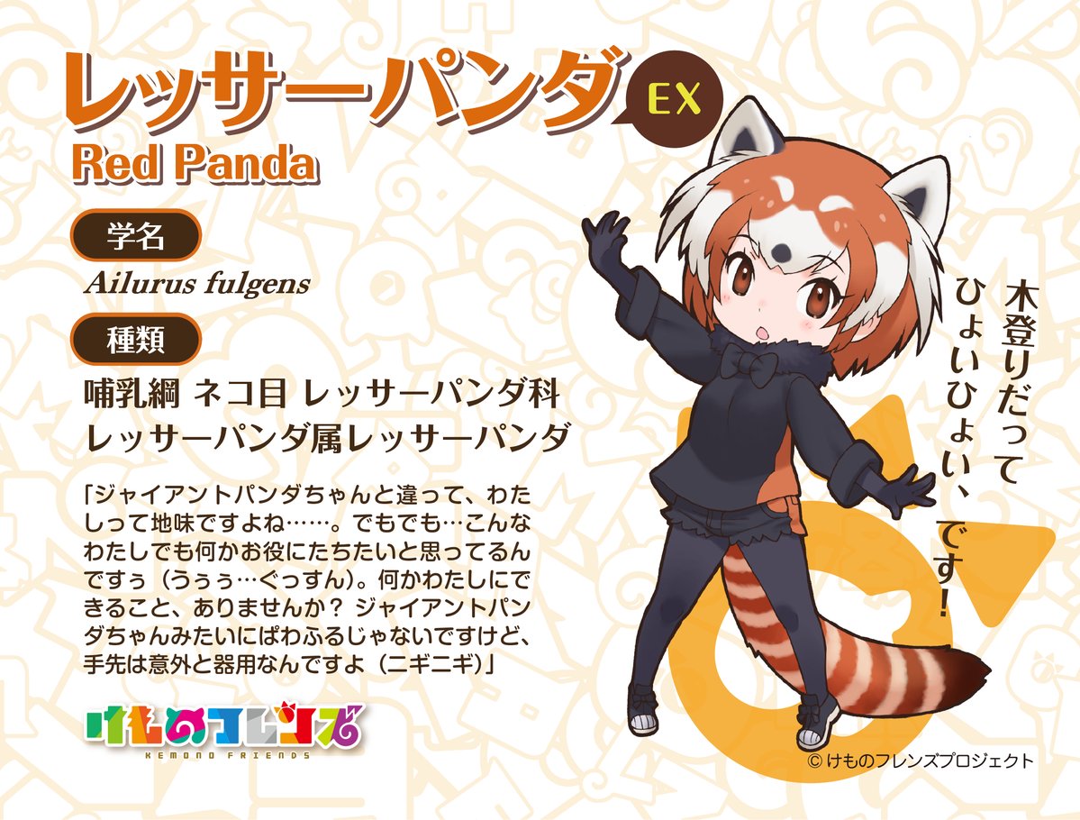 08.小熊猫ex.jpg