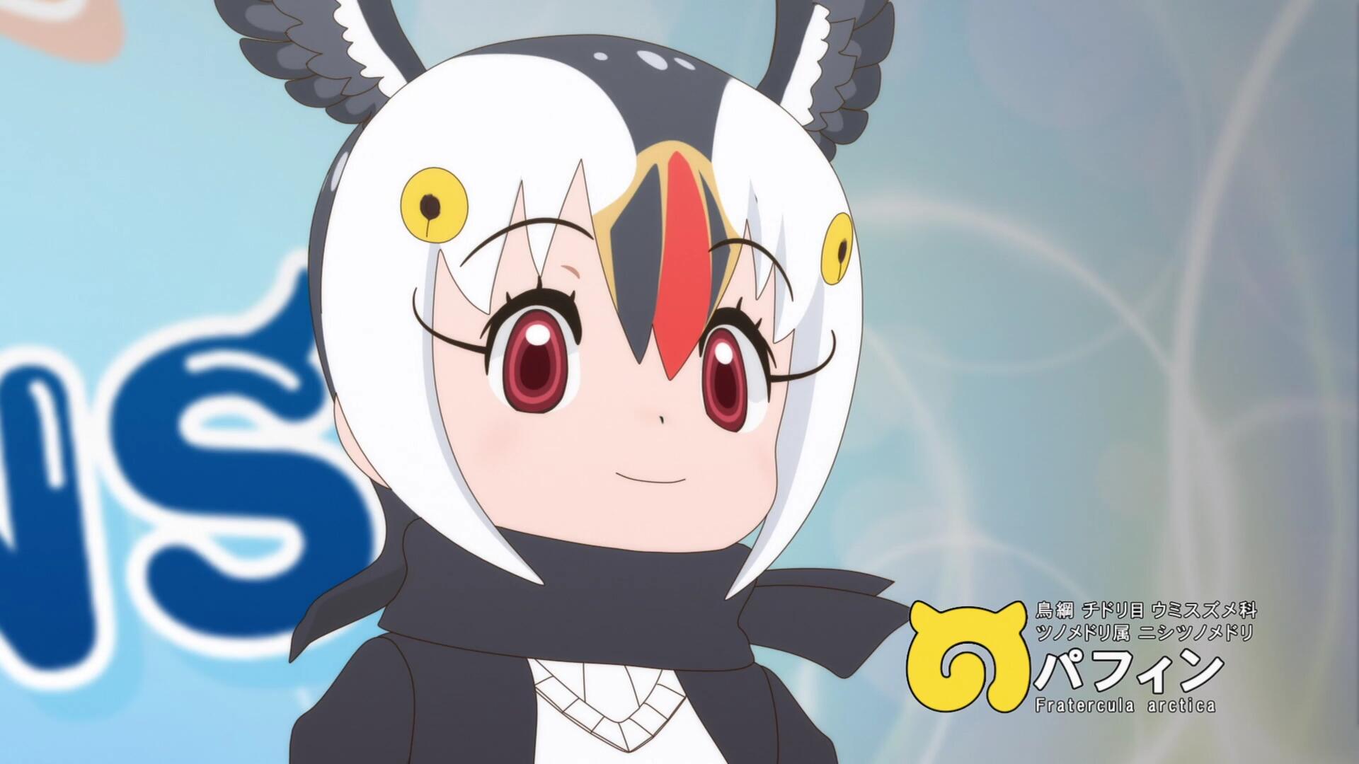 二期北极海鹦.jpg